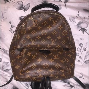 Louis Vuitton Palm Springs Mini Backpack